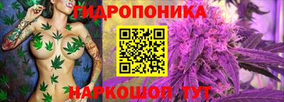 ПСИЛОЦИБИНОВЫЕ ГРИБЫ Гусев